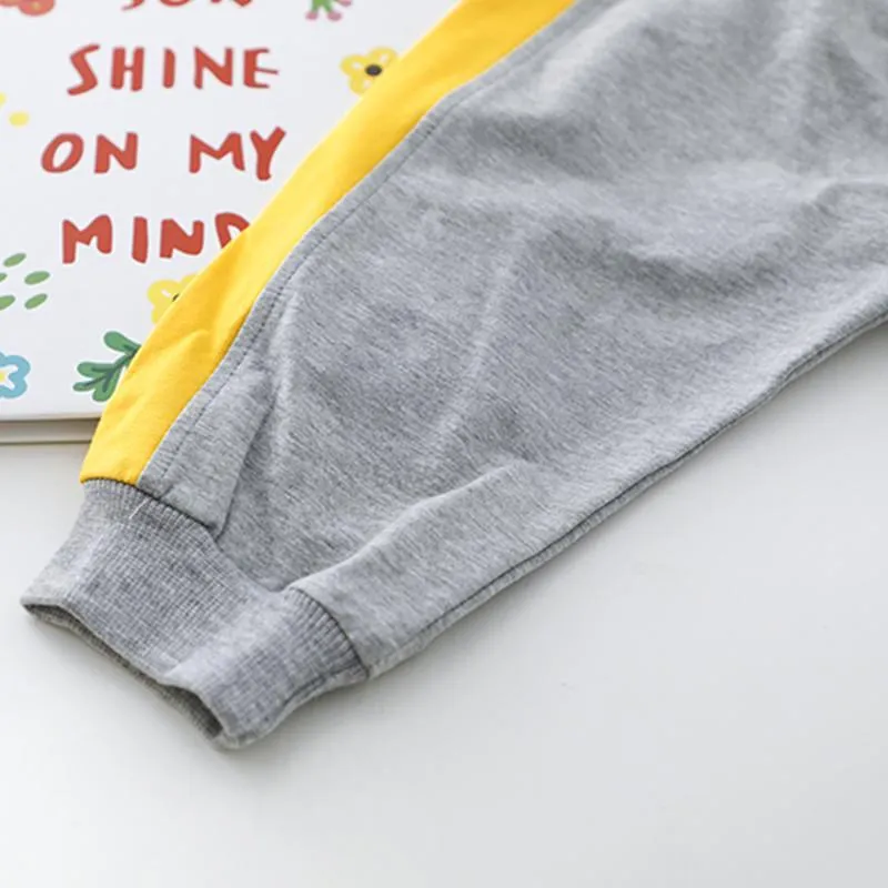 2-piece Dinosaur Pattern Hoodie & Pants for Children